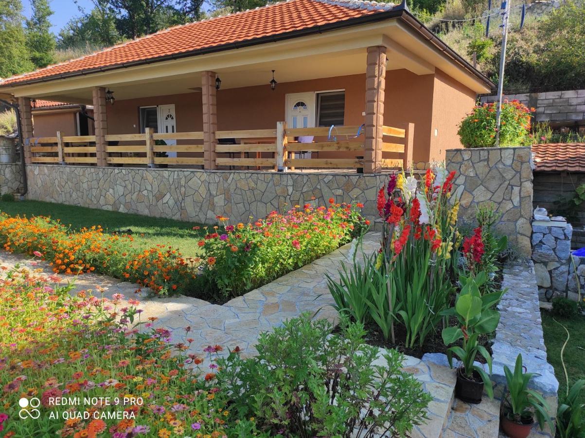 Vila Vera Borsko Jezero Exterior photo