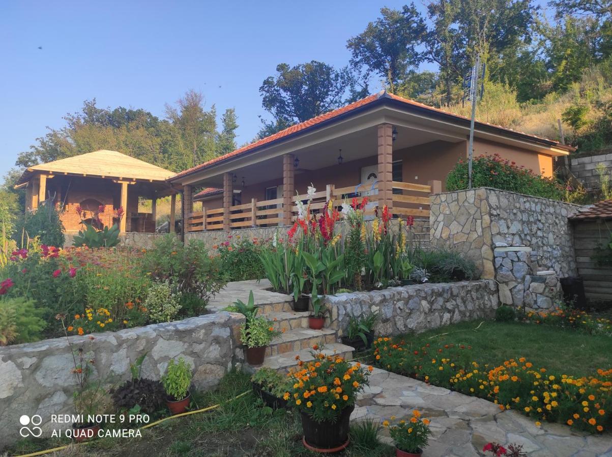 Vila Vera Borsko Jezero Exterior photo