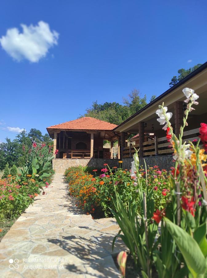 Vila Vera Borsko Jezero Exterior photo